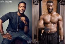 Aldis Hodge