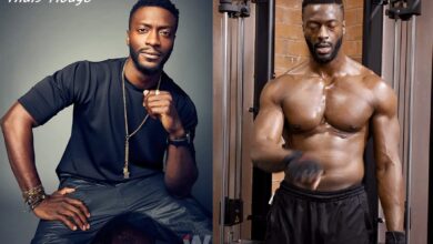 Aldis Hodge